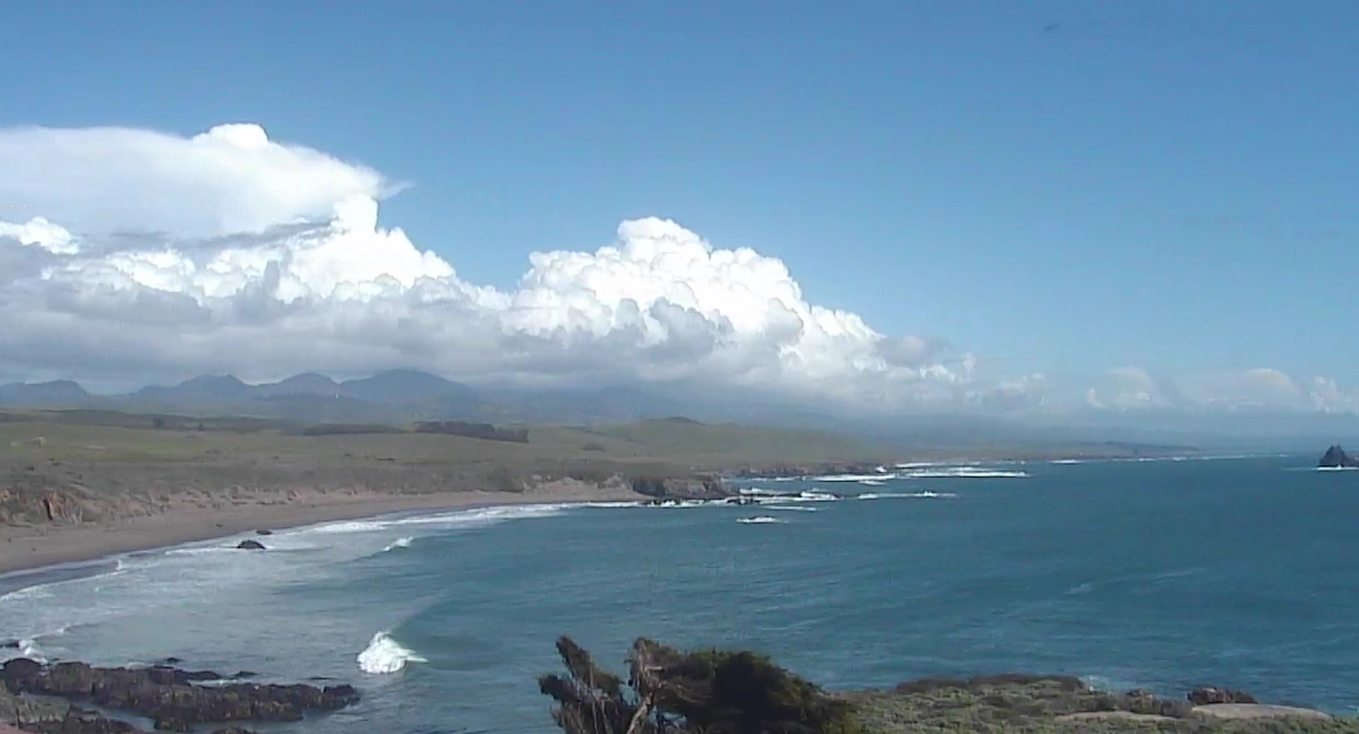 Webcam Piedras Blancas Light Station